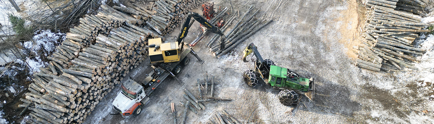 Header Image - aerial-bushwork-1757255143.jpg