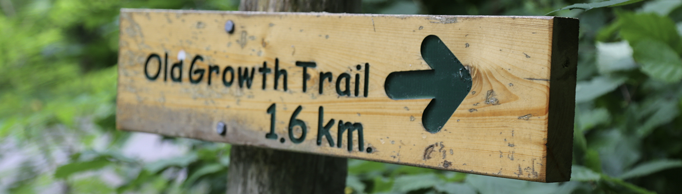 Header Image - trail-sign-1757253829.jpg